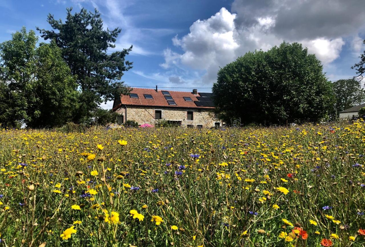 La Souriciere Villa Silenrieux Exterior foto